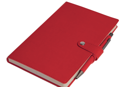 Royaslan_Carnet_de_Note - Royaslan_notebook - Royaslan Notizbuch_1