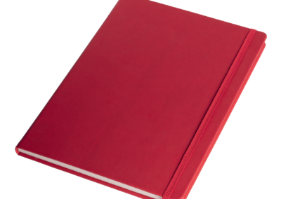 Royaslan_Carnet_de_Note - Royaslan_notebook - Royaslan Notizbuch_11