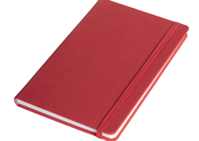 Royaslan_Carnet_de_Note - Royaslan_notebook - Royaslan Notizbuch_17
