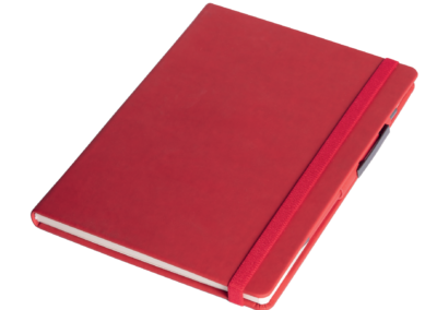 Royaslan_Carnet_de_Note - Royaslan_notebook - Royaslan Notizbuch_4